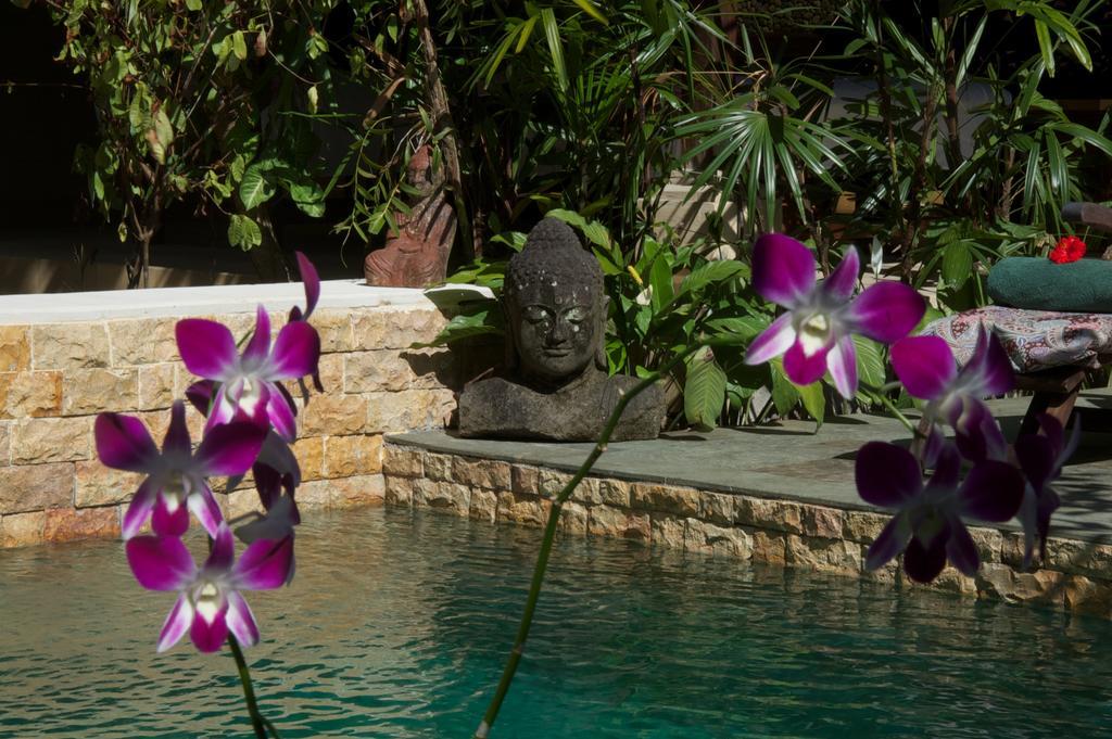 Taman Rahasia Tropical Sanctuary And Spa Ουμπούντ Εξωτερικό φωτογραφία