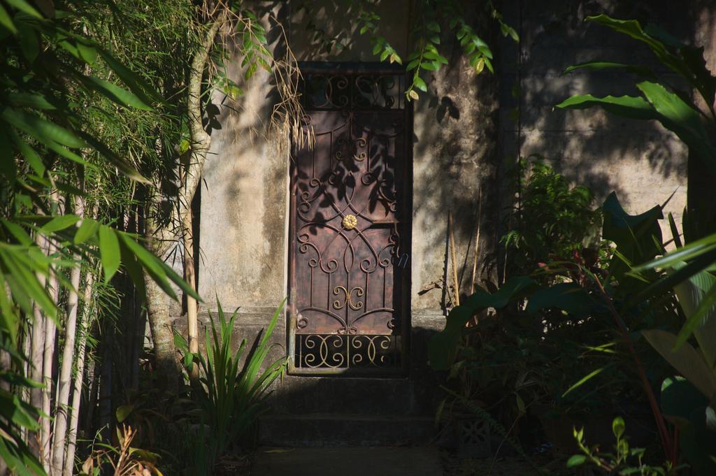 Taman Rahasia Tropical Sanctuary And Spa Ουμπούντ Εξωτερικό φωτογραφία