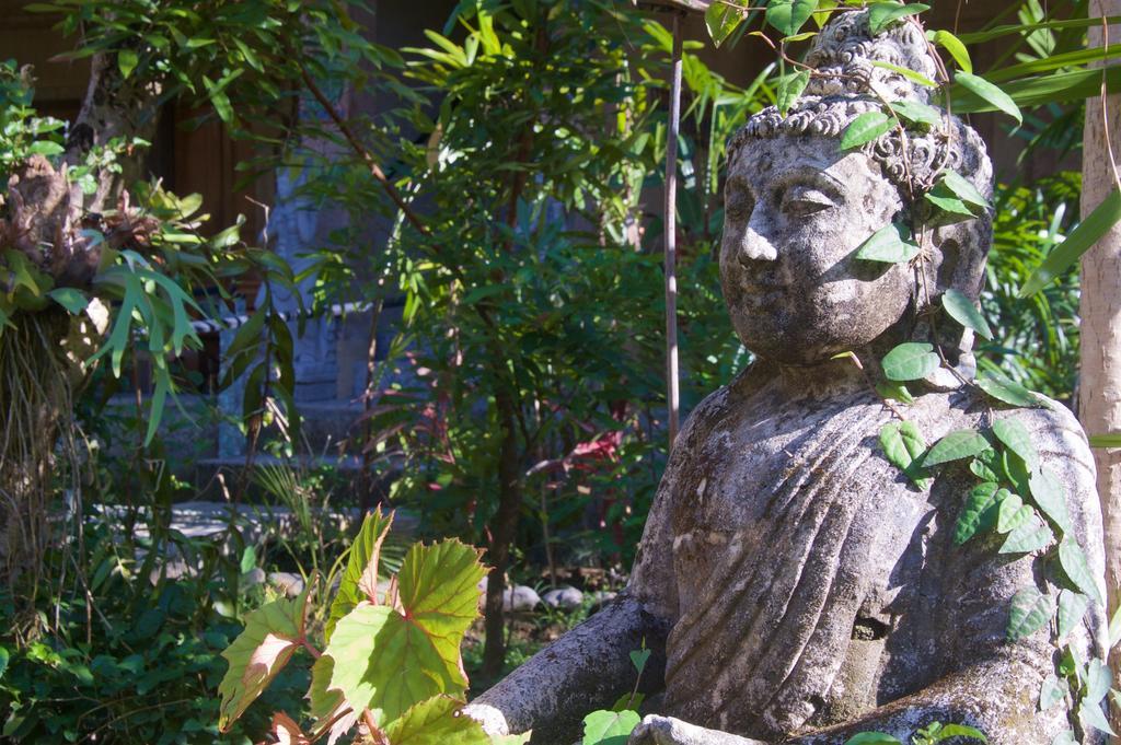 Taman Rahasia Tropical Sanctuary And Spa Ουμπούντ Εξωτερικό φωτογραφία